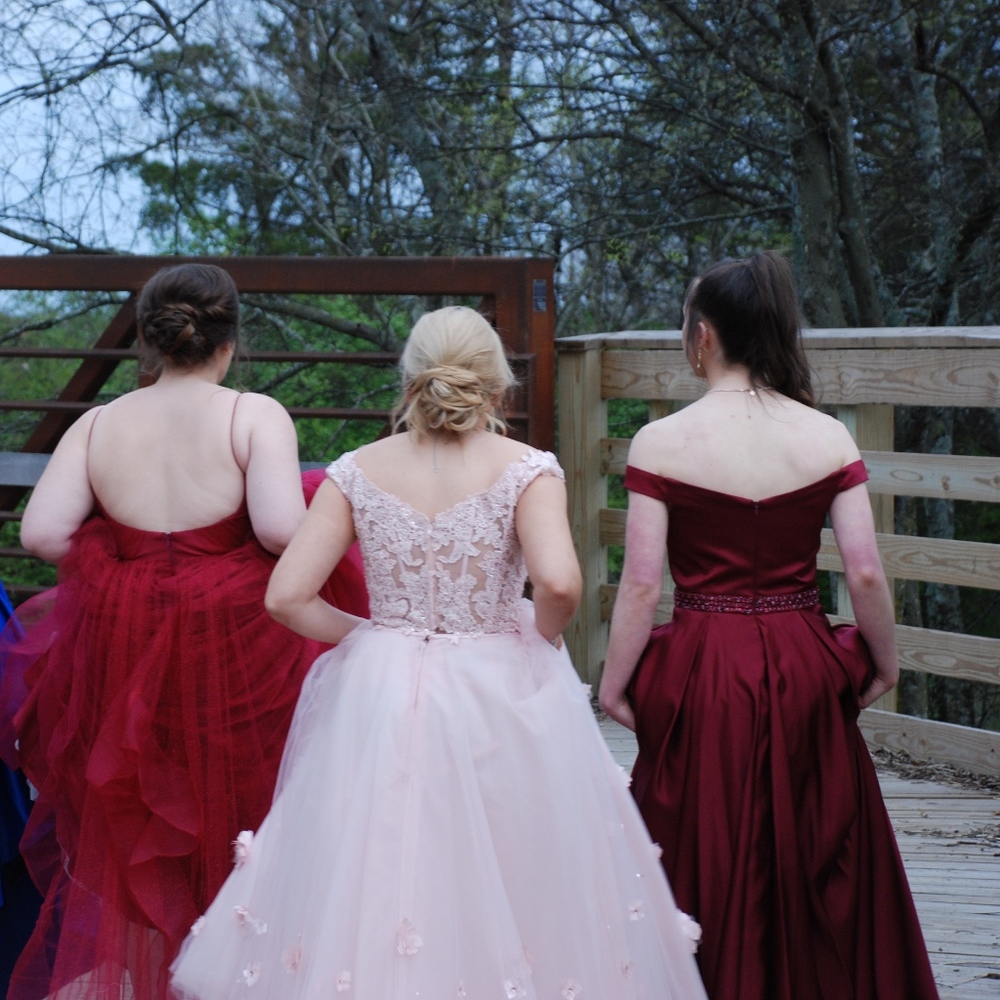 Prom Dress - Picture 2 of 4